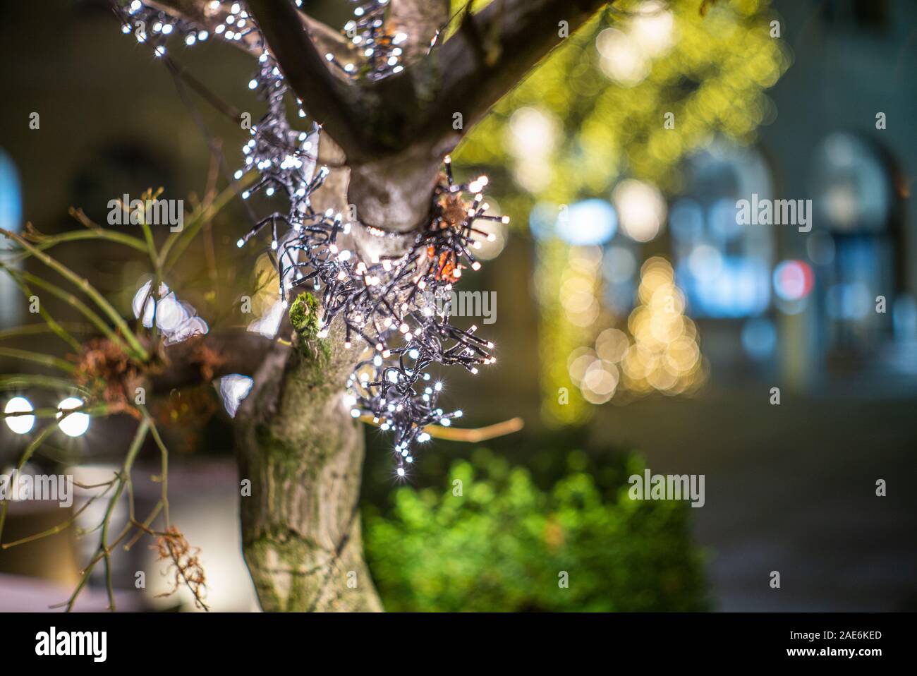 Closeup of Christmas lights on a Christmas tree in Zurich 2 Stock