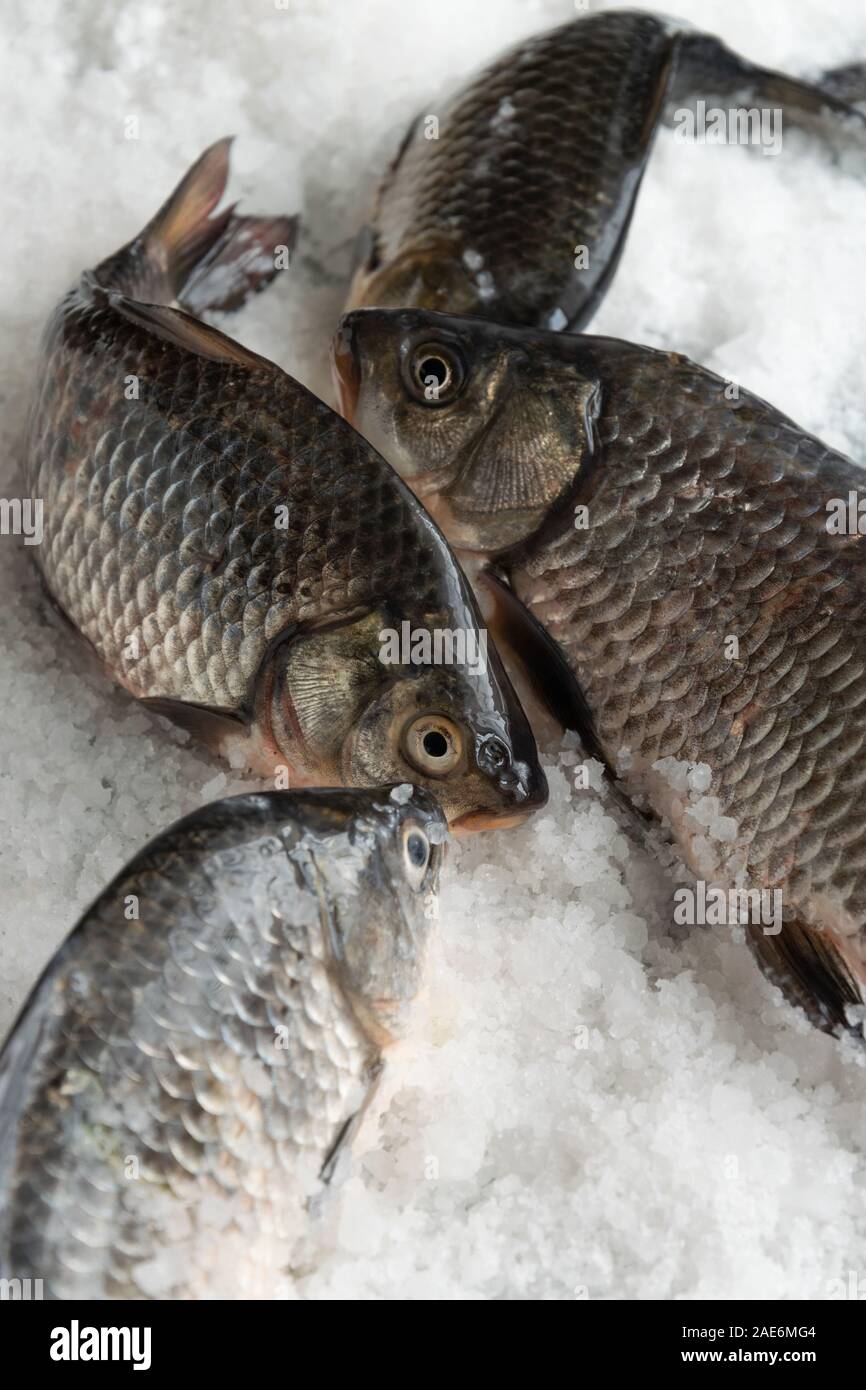 Raw fishes on salty background. Healthy eating ingredient Stock Photo