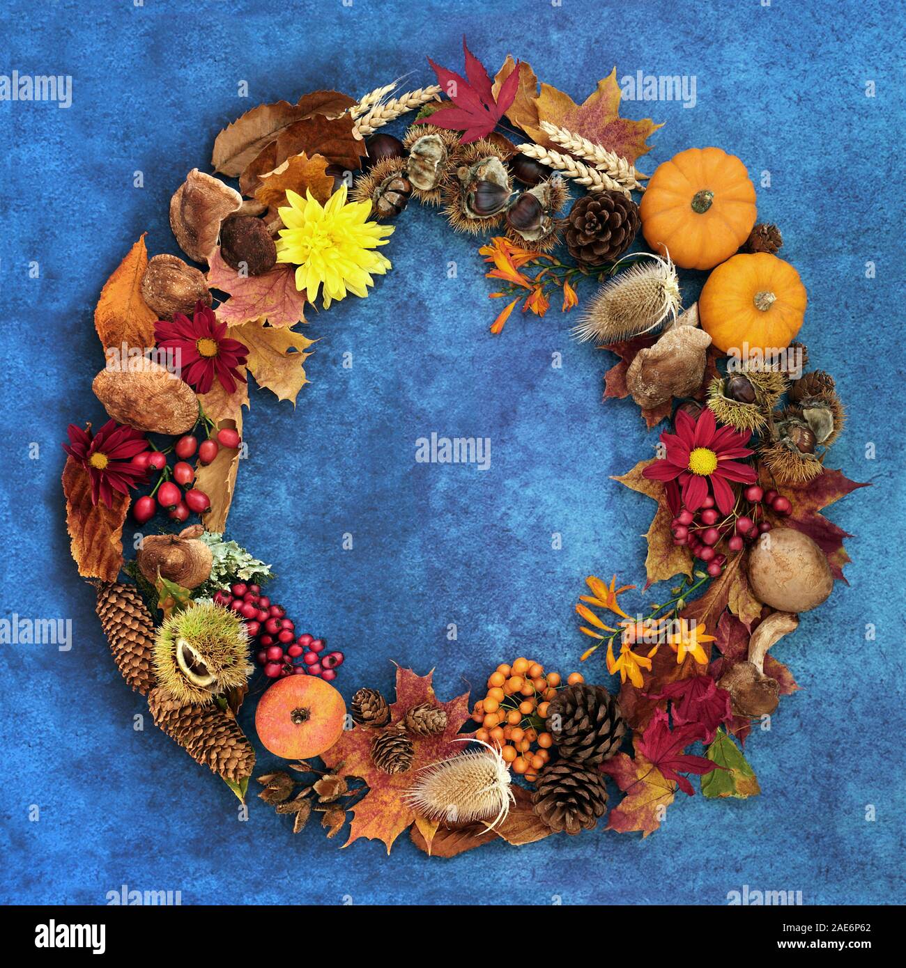 Autumn wreath harvest composition with a variety of natural flora, fauna and food on mottled blue background. Harvest festival theme. Stock Photo