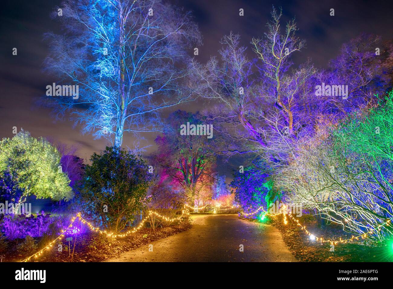 Rhs Wisley Surrey Uk Rhs Gardens Winter Glow 2019 6th December 2019 Enchanting Trail With Dazzling Light Installations Themed Around The Four Seasons All Lit Up At Night During The Festive Season