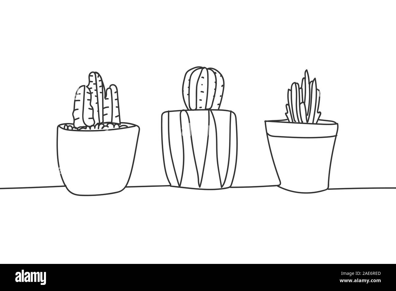Simple Hand Drawn Cactus And Succulents In Pots Doodle Cute
