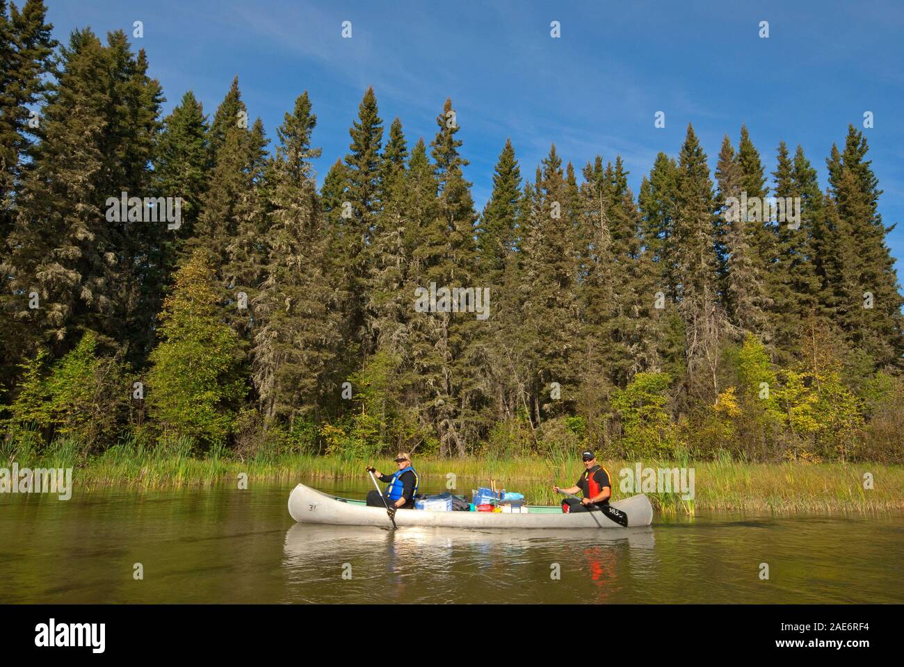 North saskatchewan river canoe hires stock photography and images Alamy