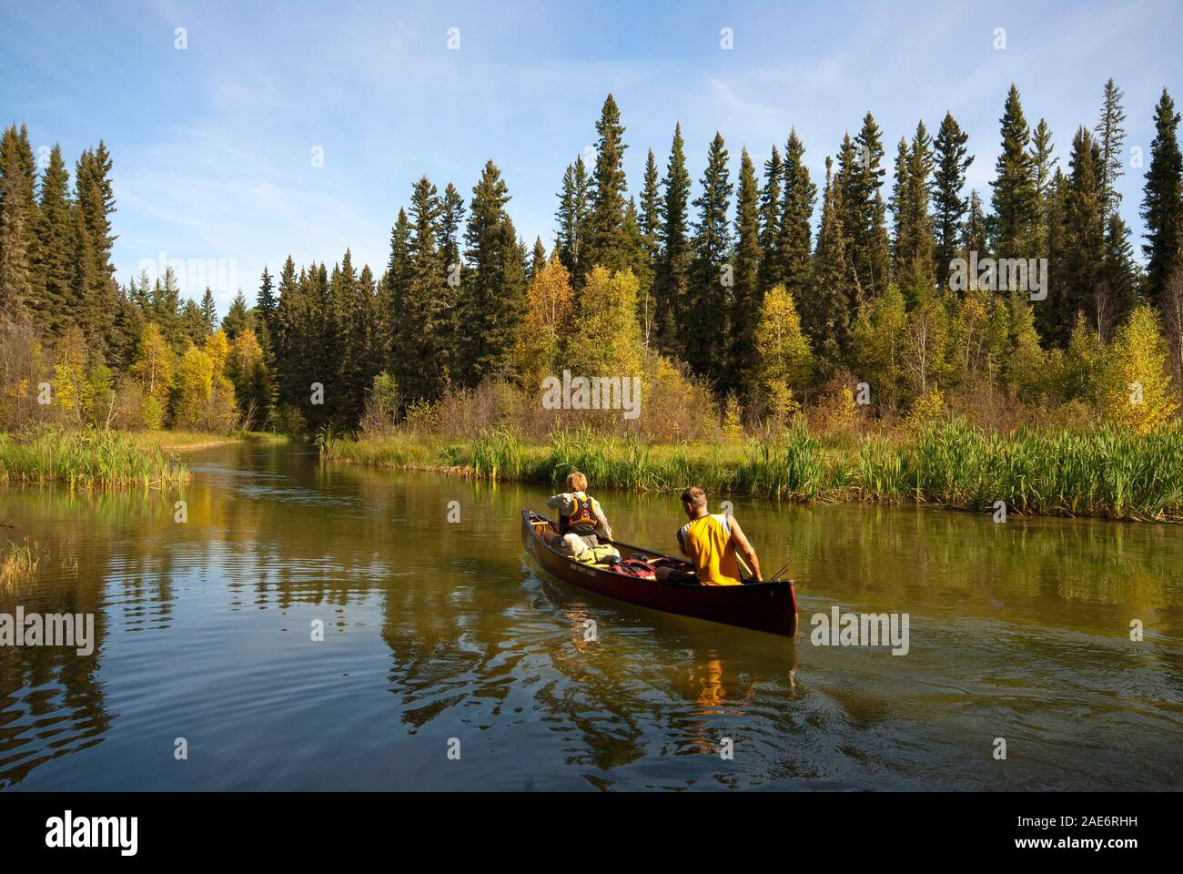 North saskatchewan river canoe hires stock photography and images Alamy