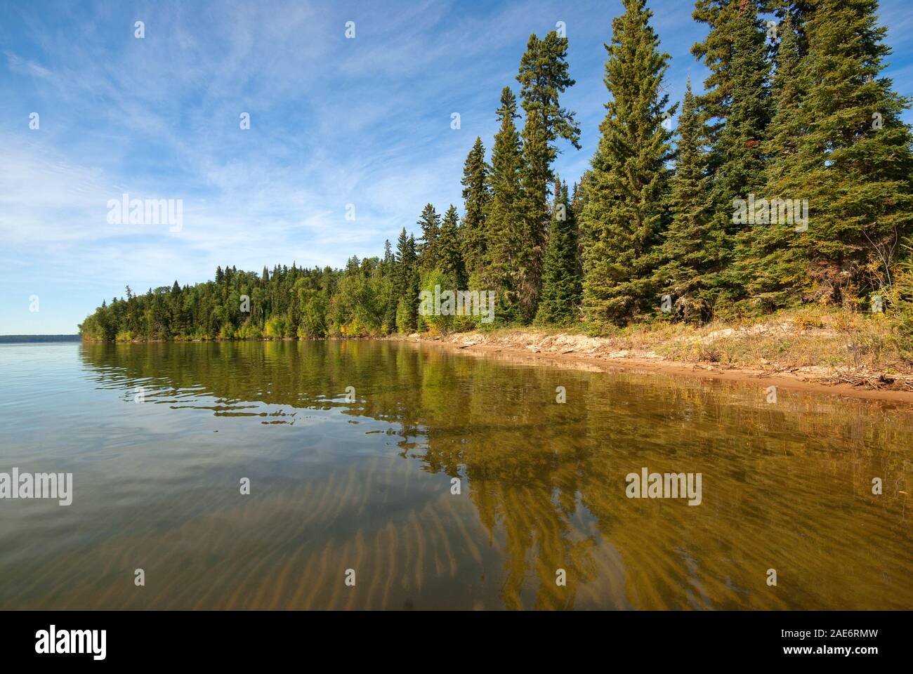 Forest on the shore of Kingsmere Lake, Prince Albert National Park, Saskatchewan, Canada Stock Photo