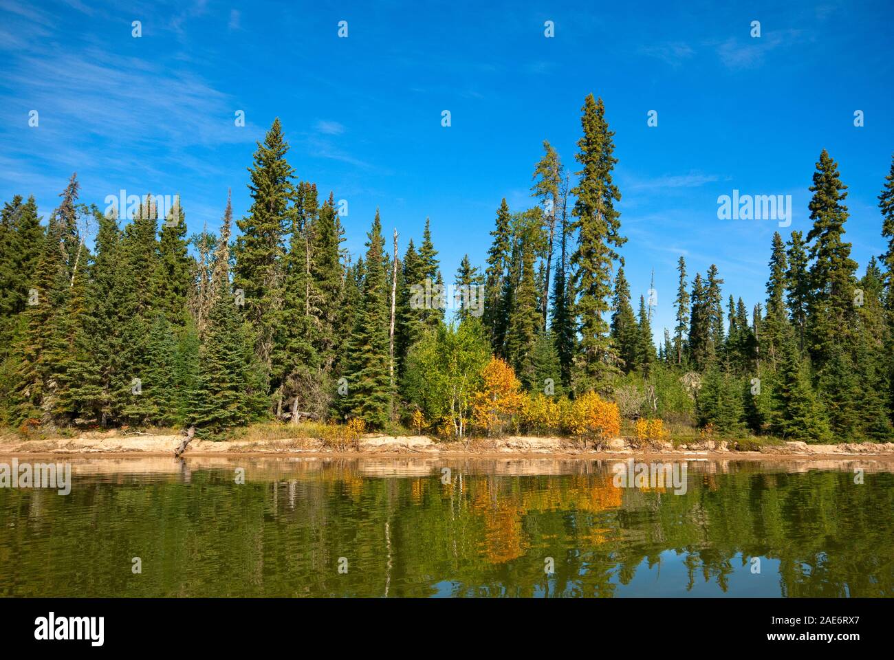 Forest on the shore of Kingsmere Lake, Prince Albert National Park, Saskatchewan, Canada Stock Photo