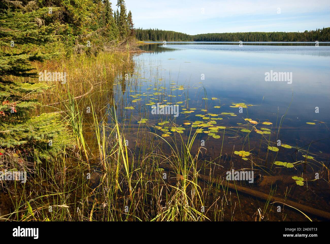 Ajawaan lake, Prince Albert National Park, Saskatchewan, Canada Stock Photo