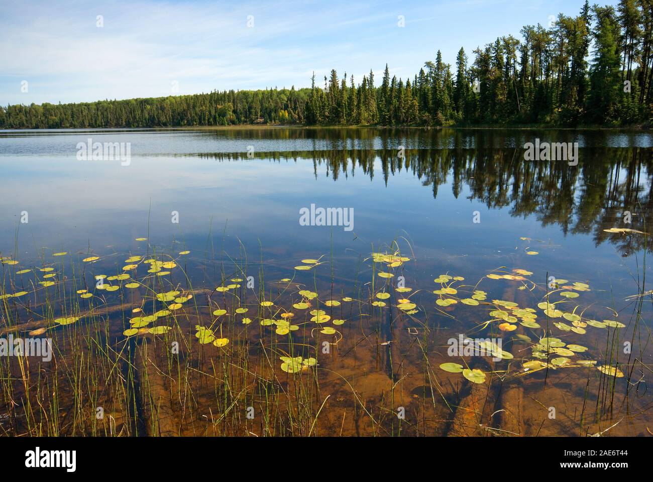 Ajawaan lake, Prince Albert National Park, Saskatchewan, Canada Stock Photo