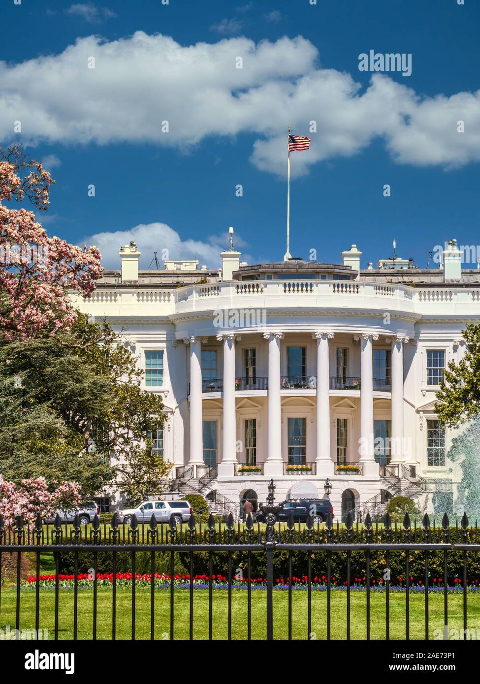 The White House with blue sky background Stock Photo - Alamy