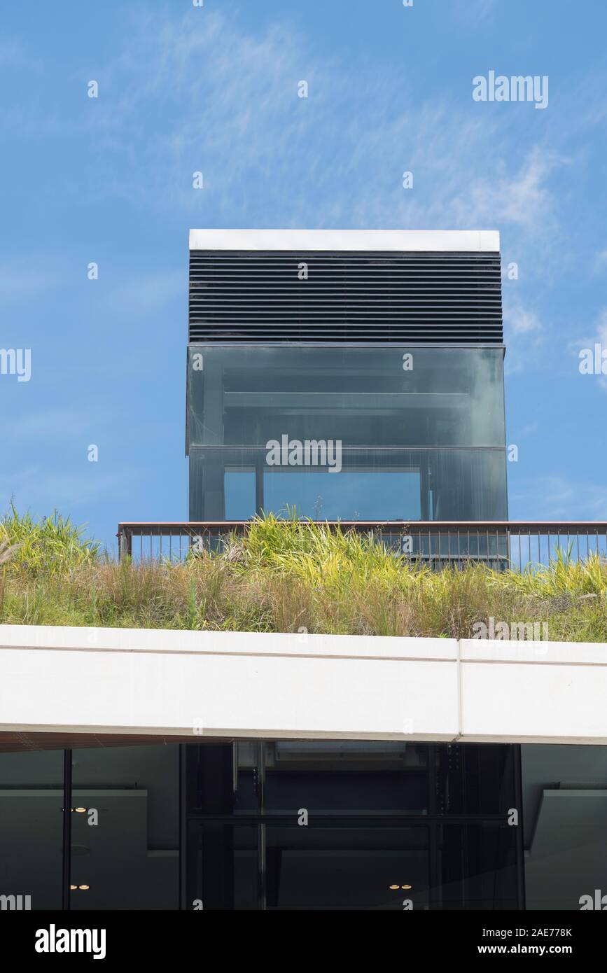 Australian native grasses growing on the rooftop and an exposed glass lift shaft form part of the International Convention Centre (ICC) in Sydney Stock Photo