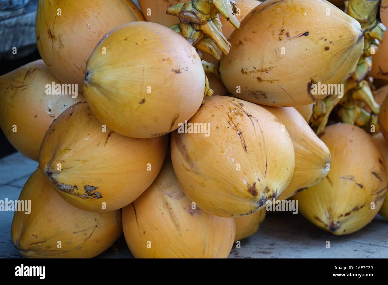 Pile of orange coconuts close-up. Market of fruit and vegetable in Sri Lanka Stock Photo