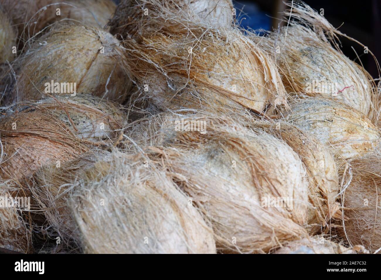 Pile of coconuts close-up. Market of fruit and vegetable in Sri Lanka Stock Photo
