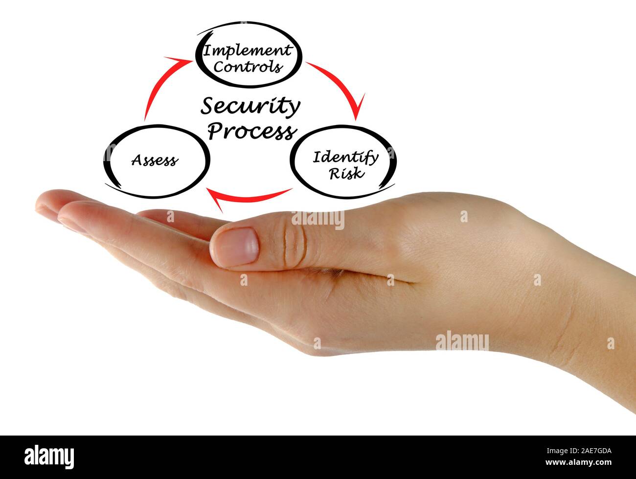Diagram of Security Process Stock Photo - Alamy