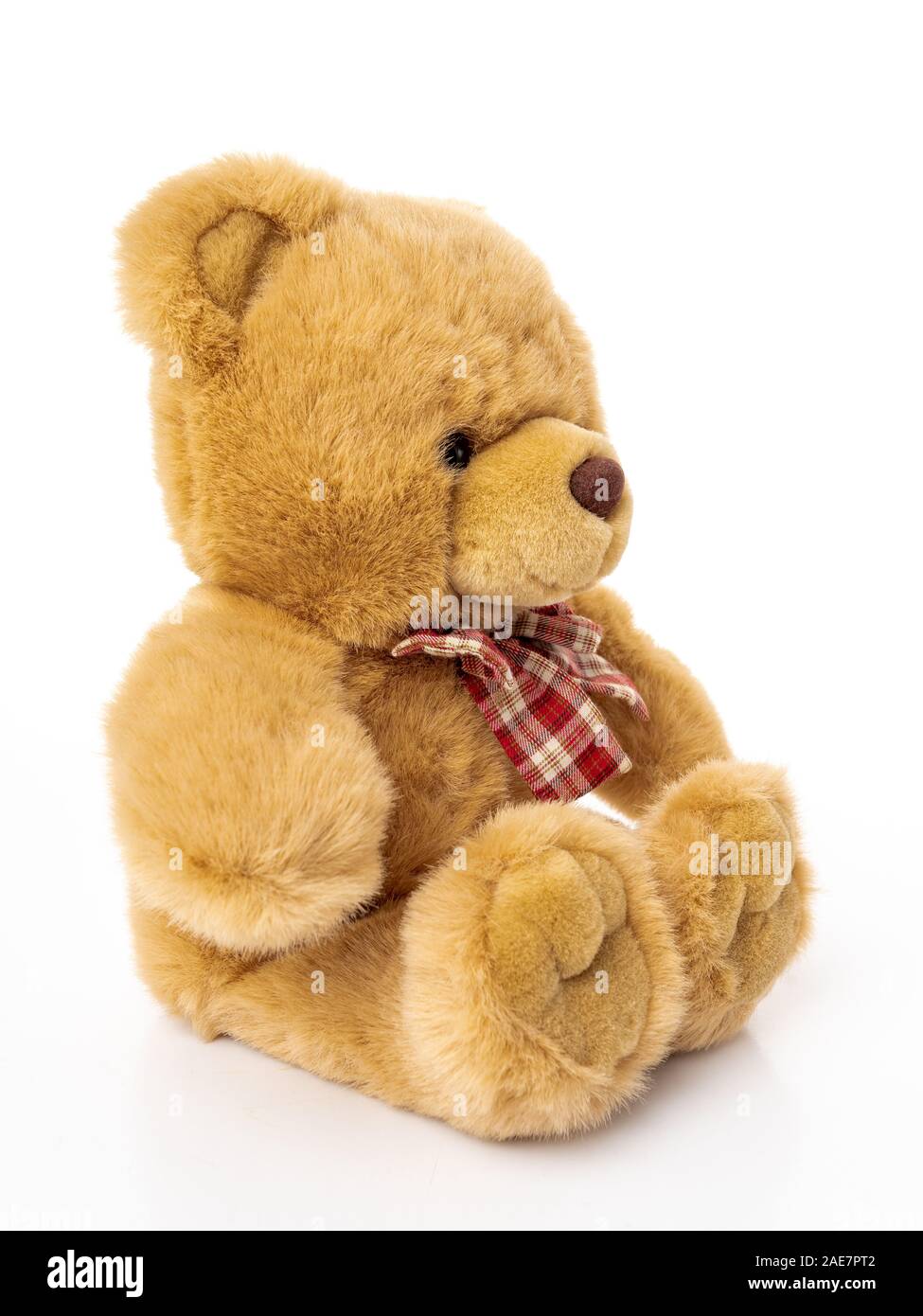 Fluffy teddy bear isolated on white Stock Photo Alamy