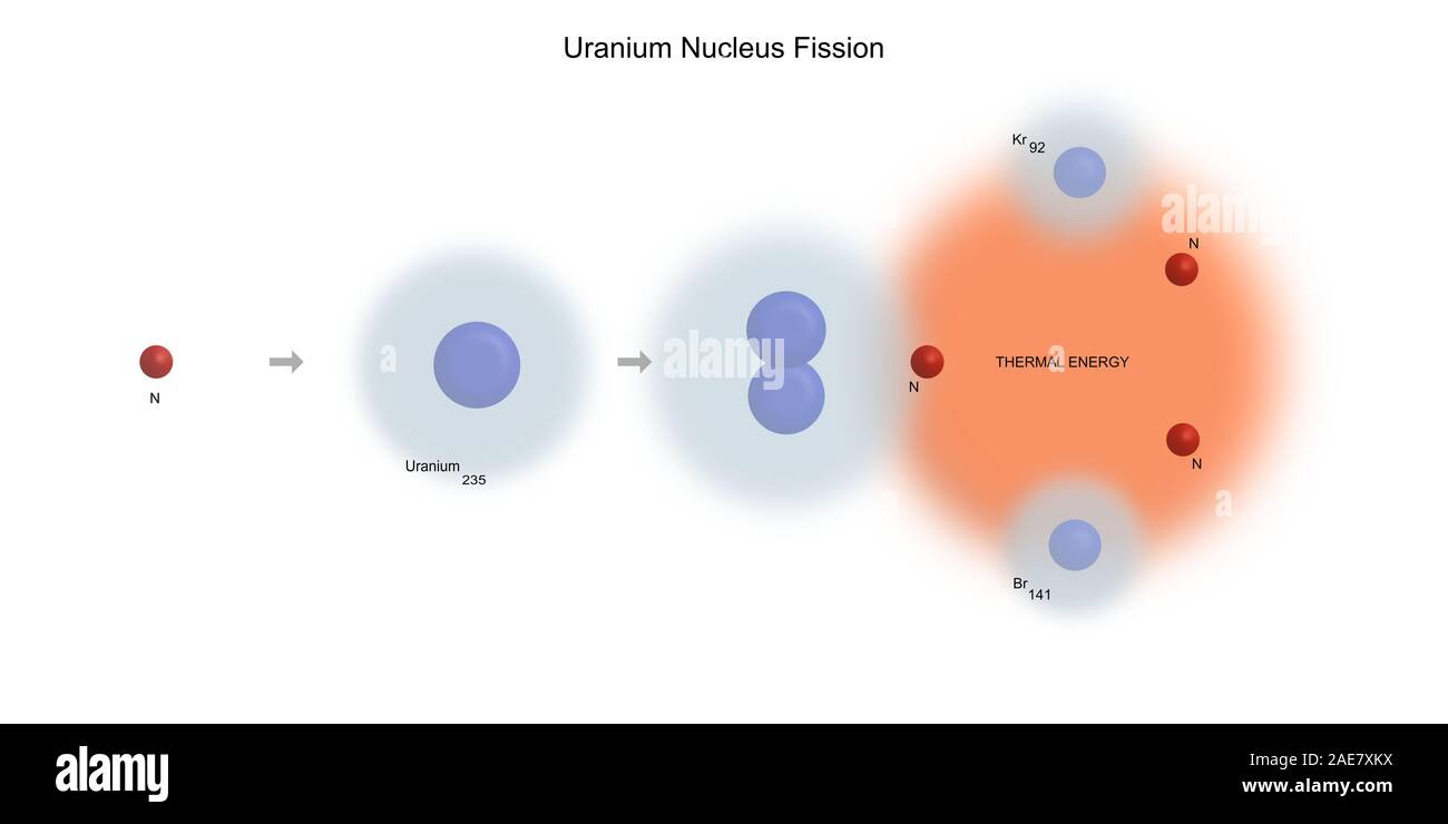 uranium 235 nucleus fission elementary particles physics theory Stock