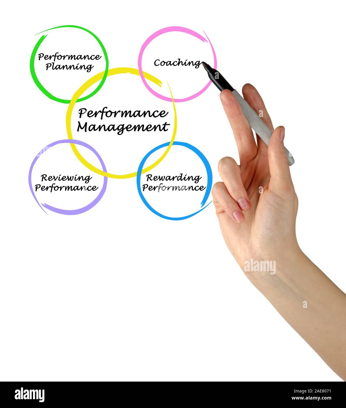 Diagram of Performance Management Stock Photo - Alamy