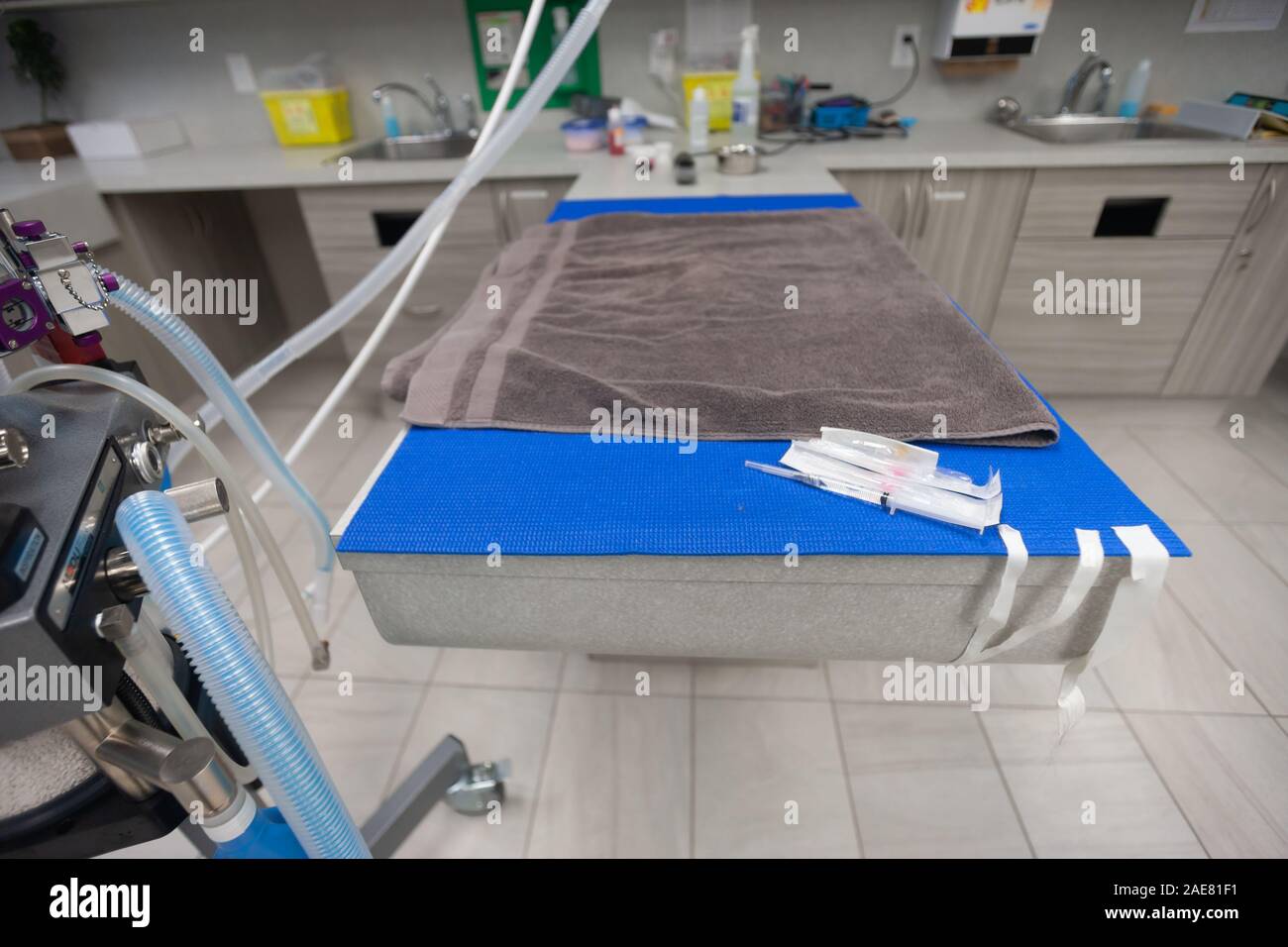 The treatment and assessment area inside a veterinary clinic. Stock Photo