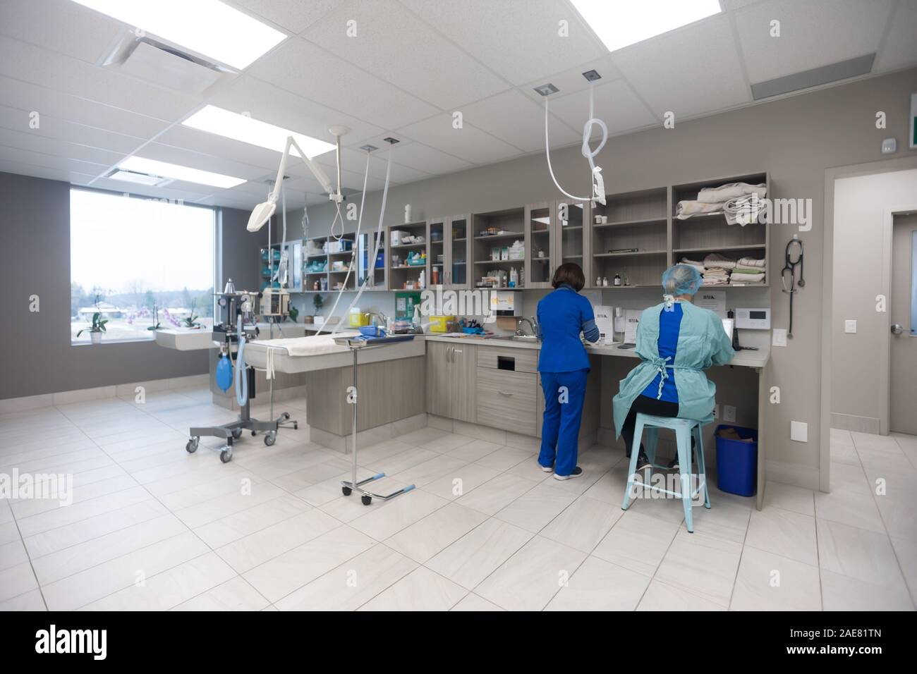The treatment and assessment area inside a veterinary clinic. Stock Photo