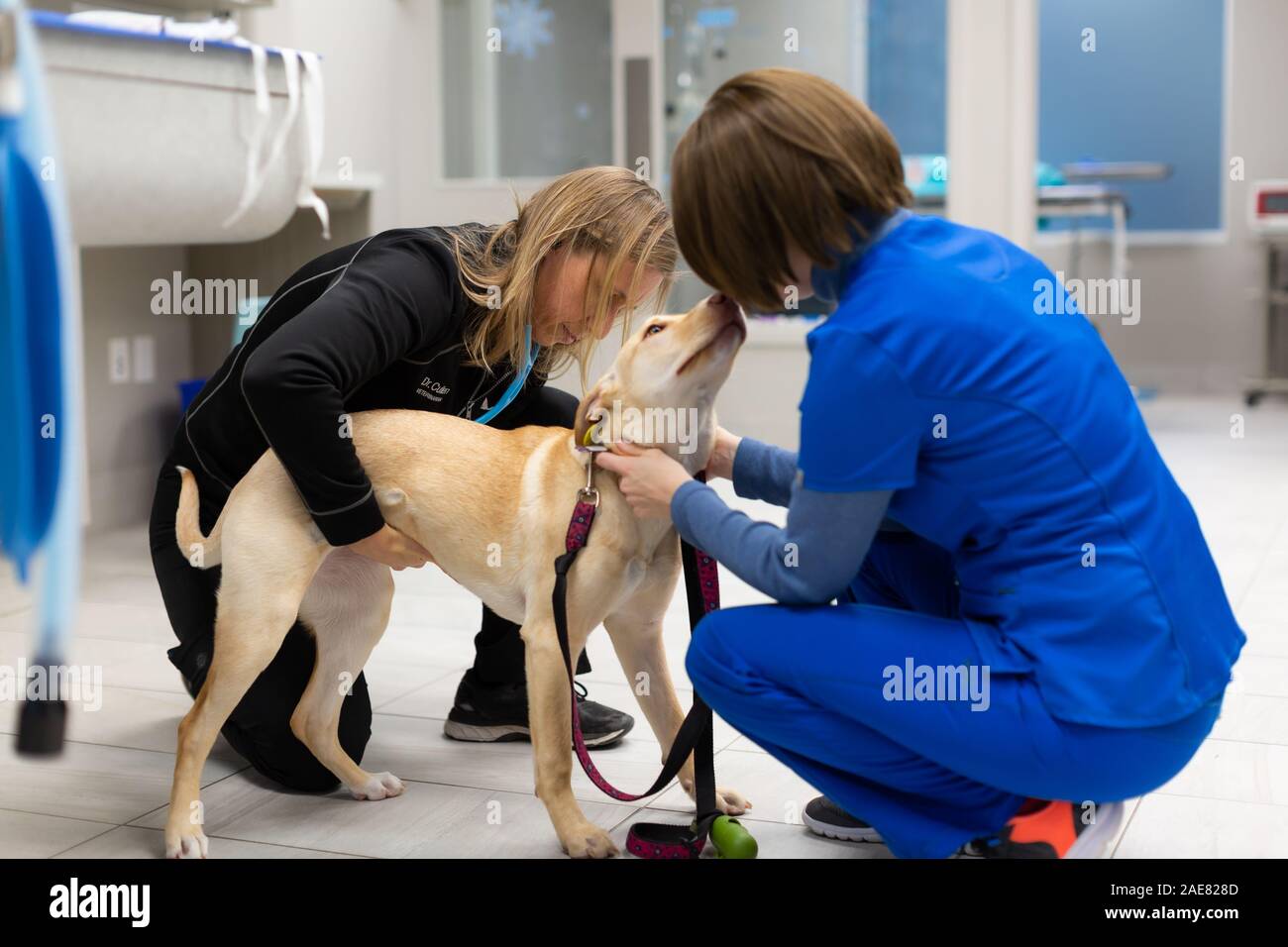 Instructive text hires stock photography and images Alamy