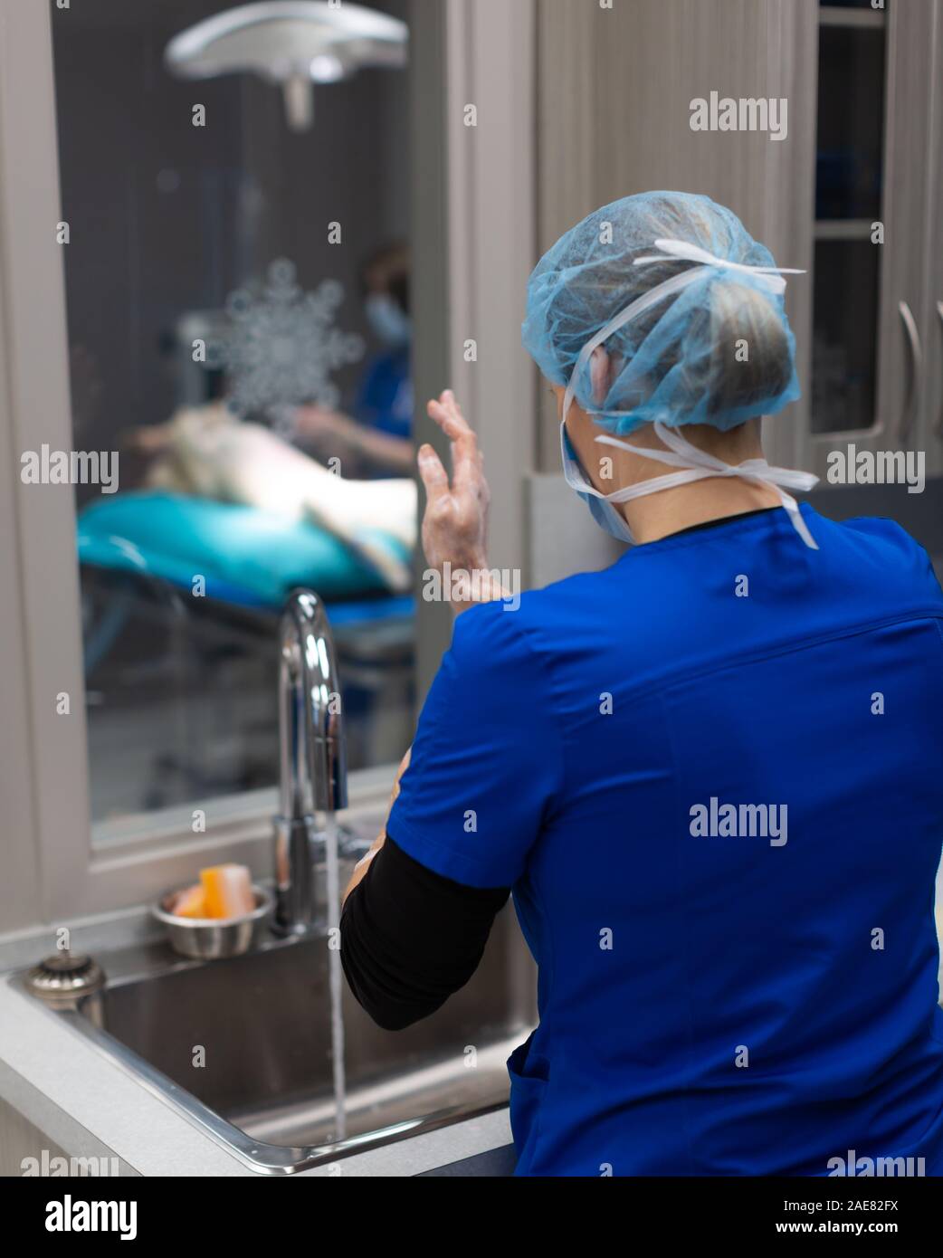 A veterinary surgeon goes through a thorough pre-surgery practice of scrubbing and then gowing up for surgery. Stock Photo
