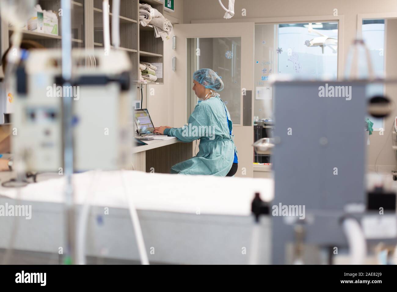 A veterinary surgeon makes notes following a surgery on a canine. Stock Photo