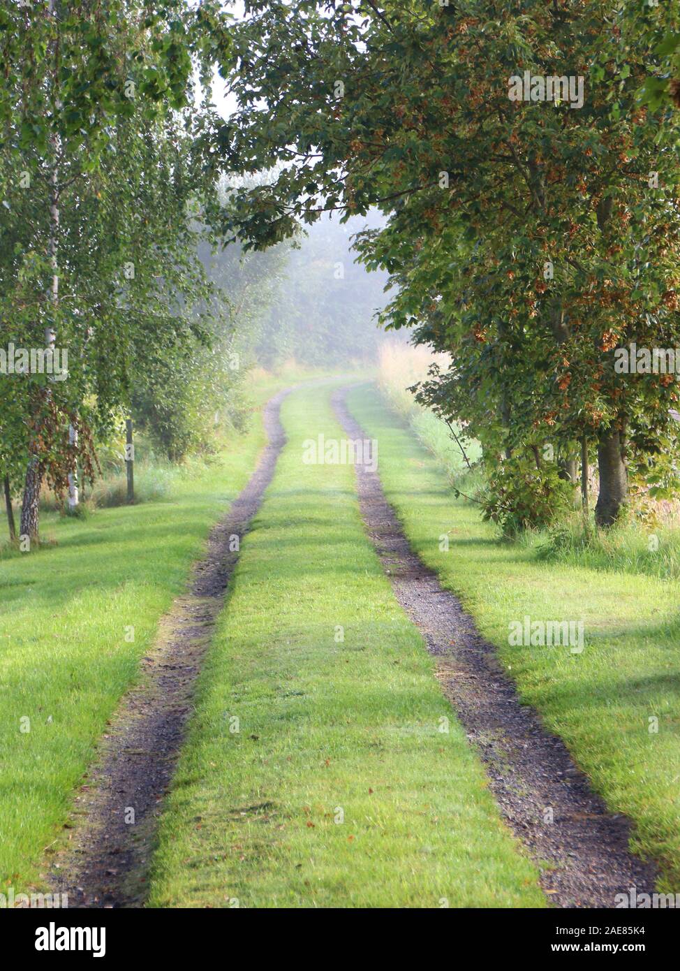 Rural Gravel Green Road with Fresh Morning Mist. The Auto Car Tractor Trails are diminishing at distance. Photo shot in the early morning on the Islan Stock Photo