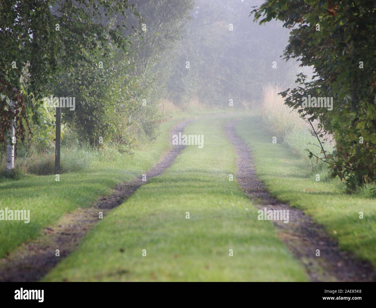 Rural Gravel Green Road with Fresh Morning Mist. The Auto Car Tractor Trails are diminishing at distance. Photo shot in the early morning on the Islan Stock Photo