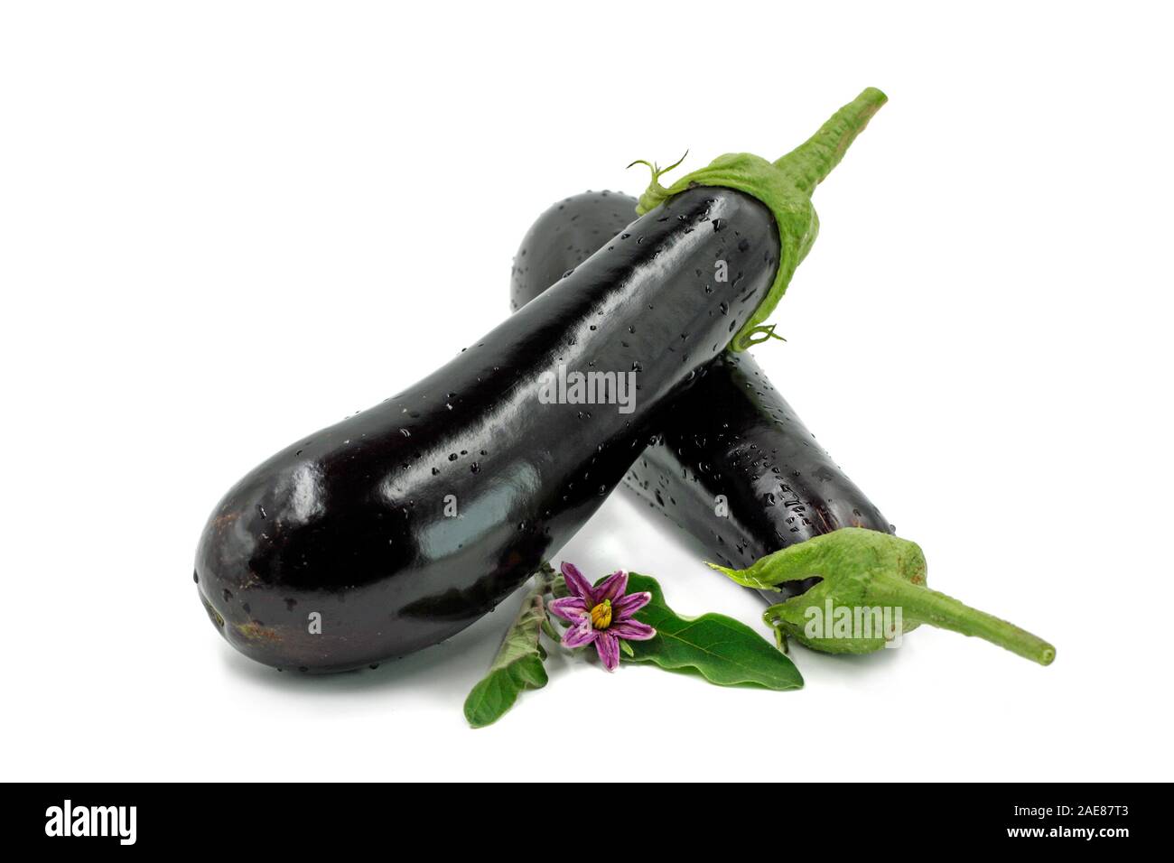 fresh eggplants with leaf and blossom isolated on white background Stock Photo