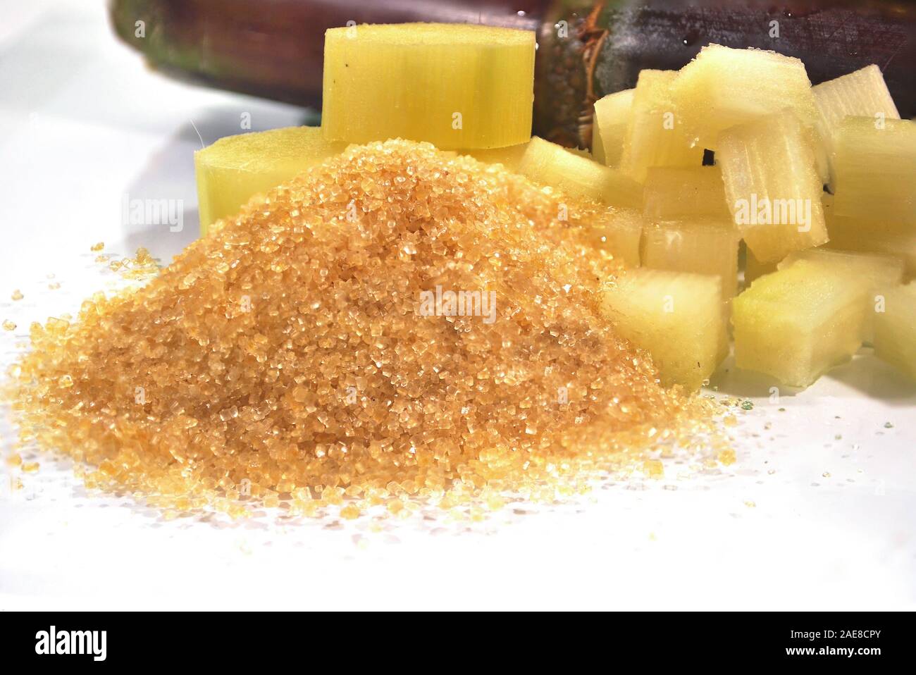 Sugar is produced from sugar cane isolated on white background Stock