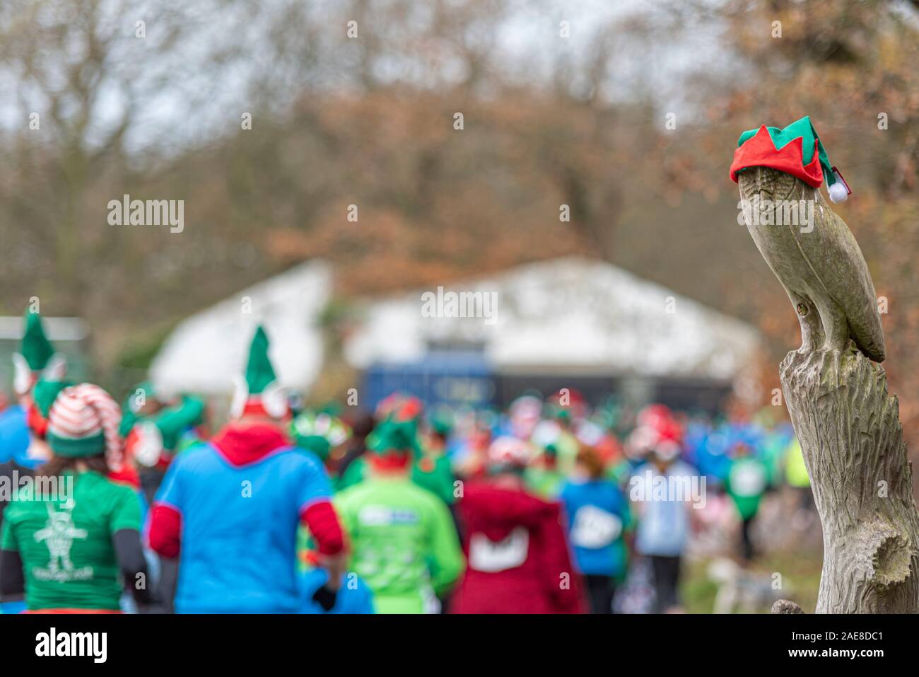 Mental Elf Run charity fun run for South East and Central Essex Mind ...
