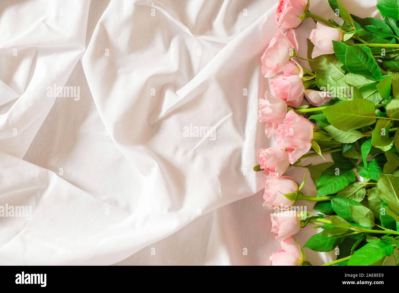 Top view of pastel pink roses on white bed background. Stock Photo