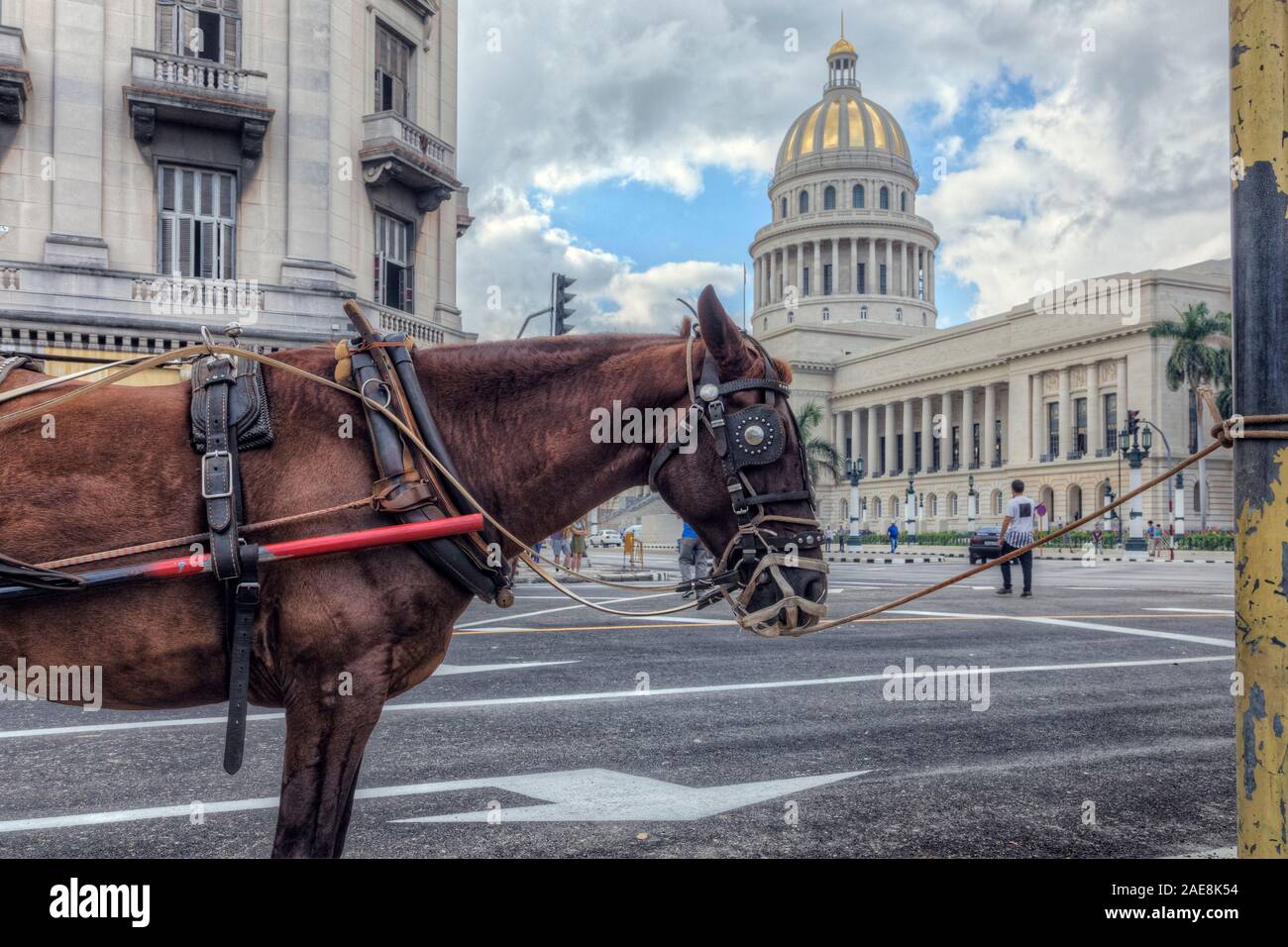 El Capitolio, Havana, Caribbean, Cuba, North America Stock Photo