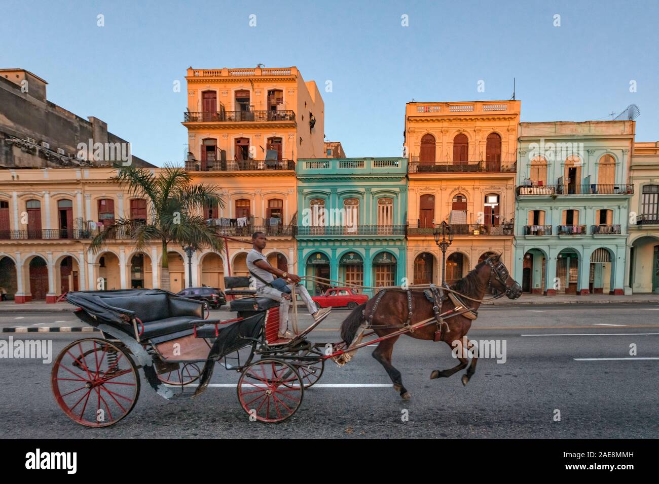 Paseo del Prado, Havana, Cuba, North America Stock Photo