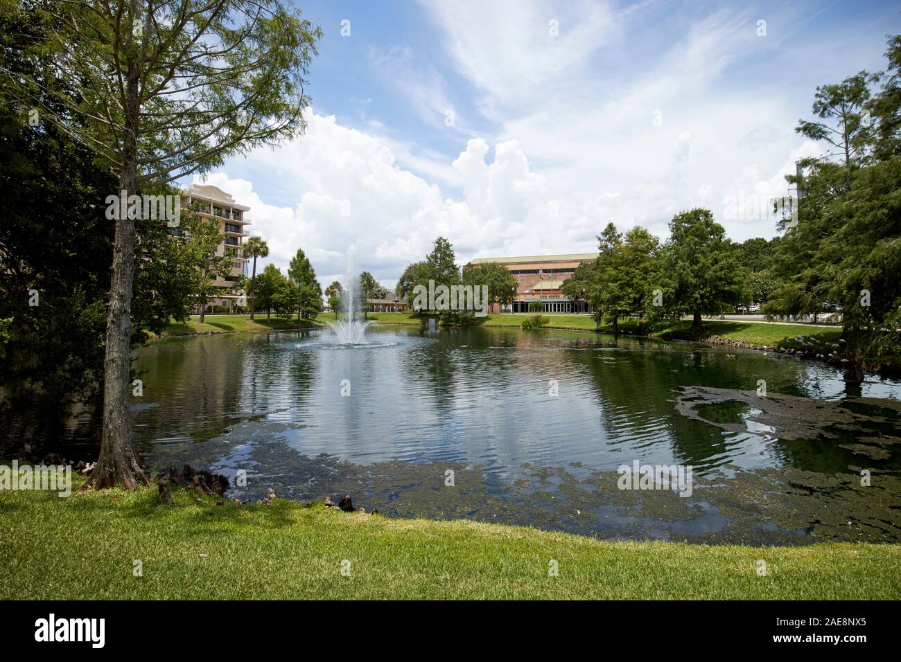 lake and fountain at the park in front of kissimmee civic center