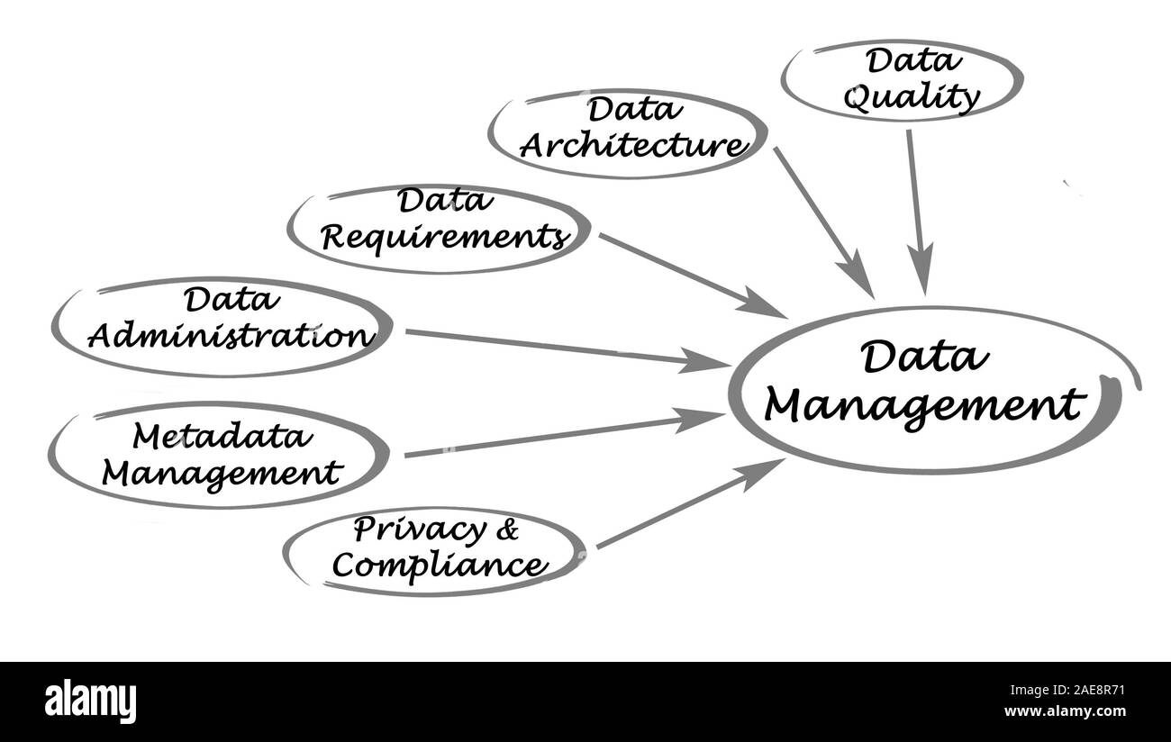 Diagram of data management Stock Photo - Alamy