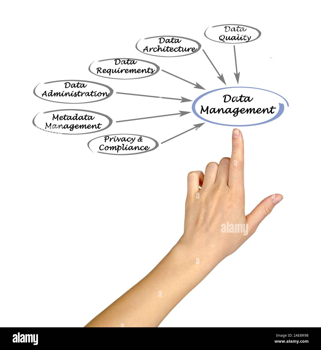 Diagram of data management Stock Photo - Alamy