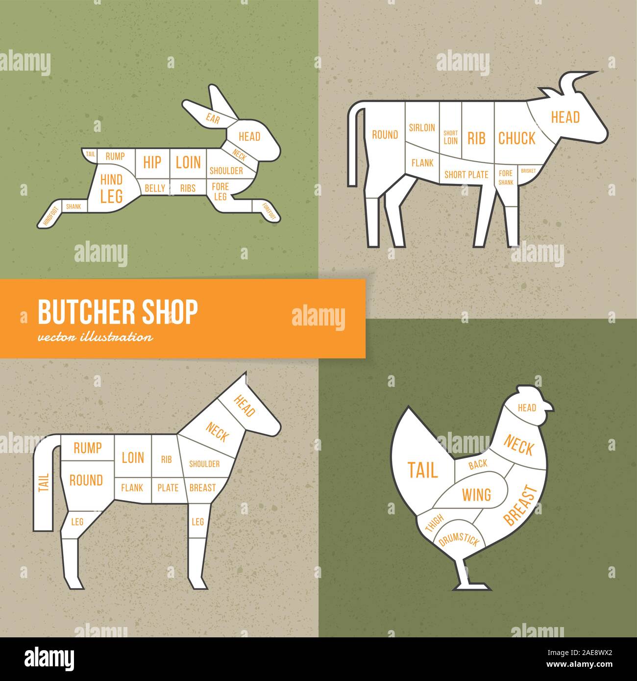 Vector scheme cuts beef, rabbit, horse and chicken. Stock Vector