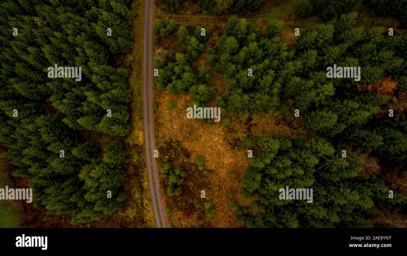 Top view forest fire hi-res stock photography and images - Alamy