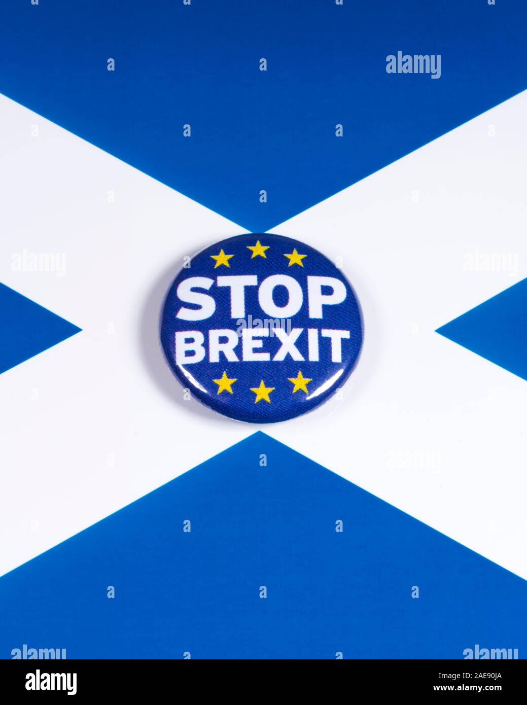 Scottish National Party Logo Button Badge UK General Election 2017-4 Sizes