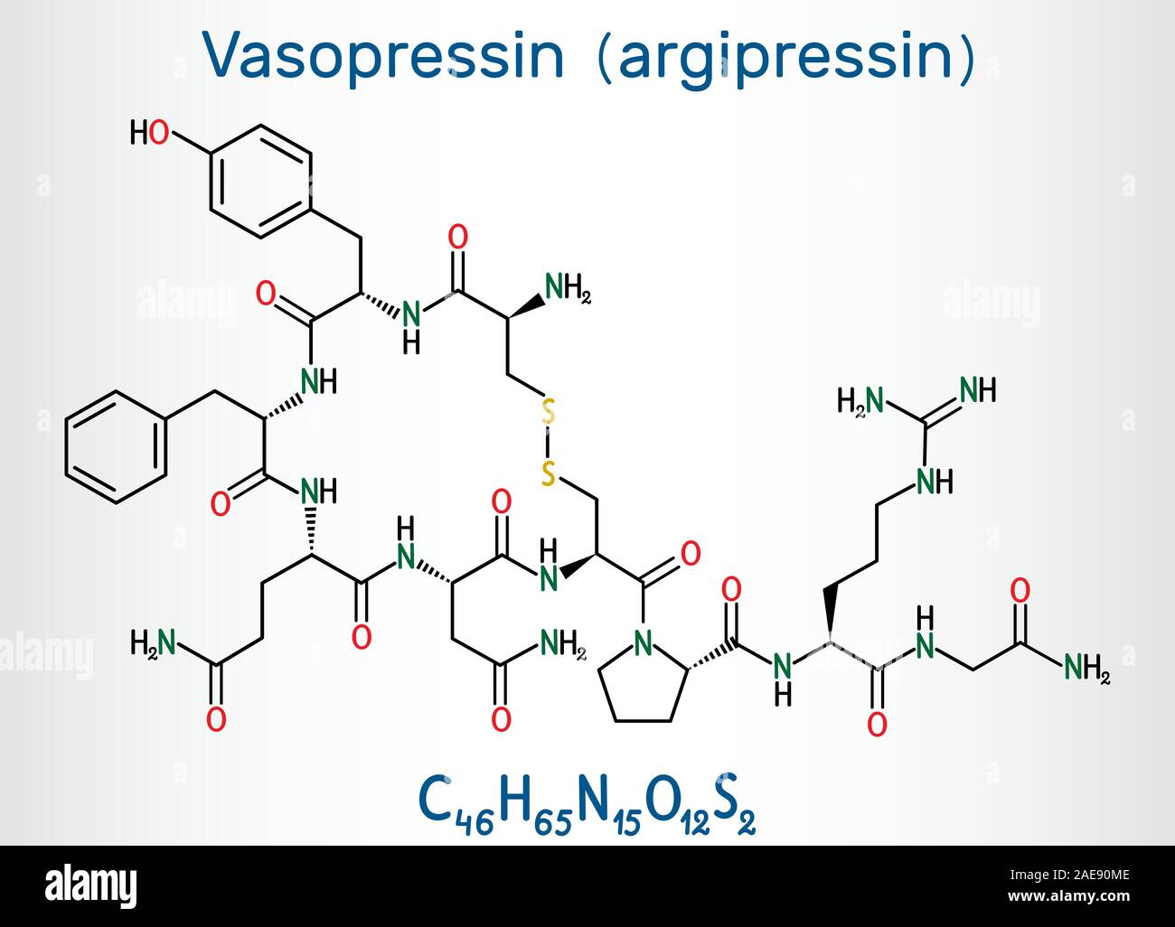 Vasopressin, arginine vasopressin AVP or argipressin molecule. It is antidiuretic hormone ADH synthesized as a peptide prohormone in neurons in the hy Stock Vector