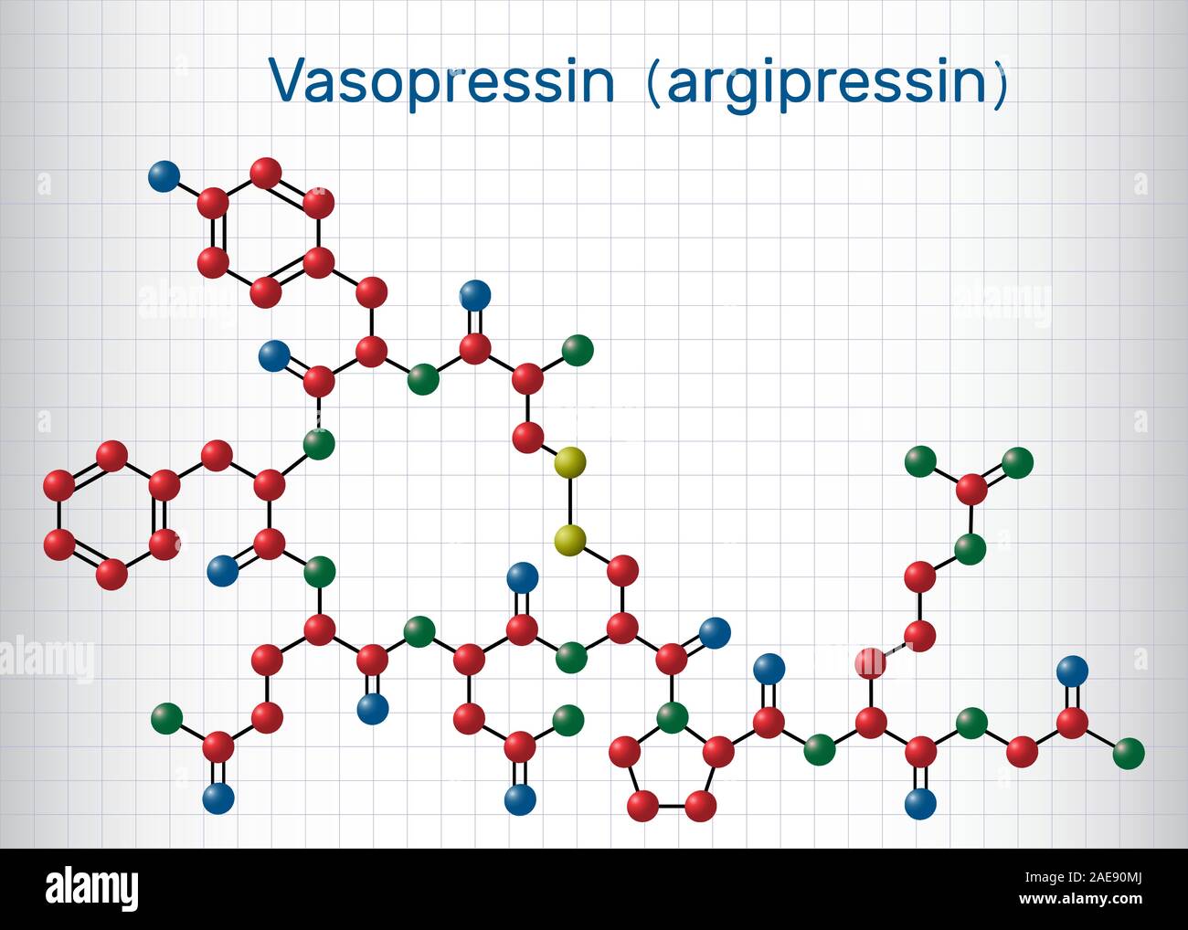 Vasopressin, arginine vasopressin AVP or argipressin molecule. It is antidiuretic hormone ADH synthesized as a peptide prohormone in neurons in the hy Stock Vector