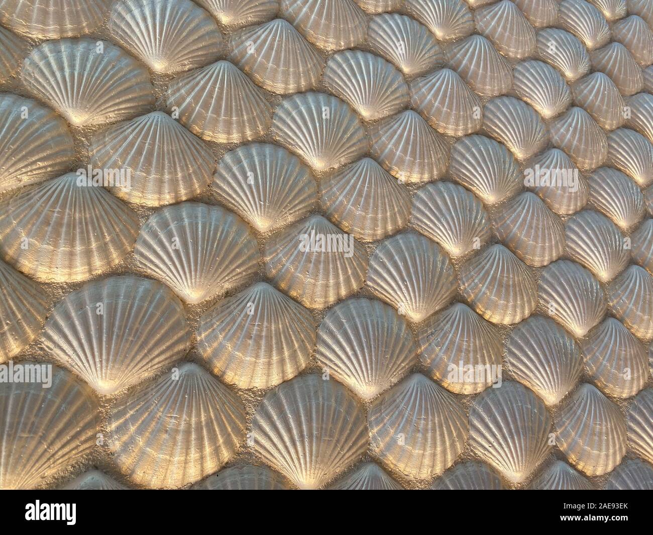 Shell Ceiling Pattern Texture Asian Paints Royale Play – Sea Shell