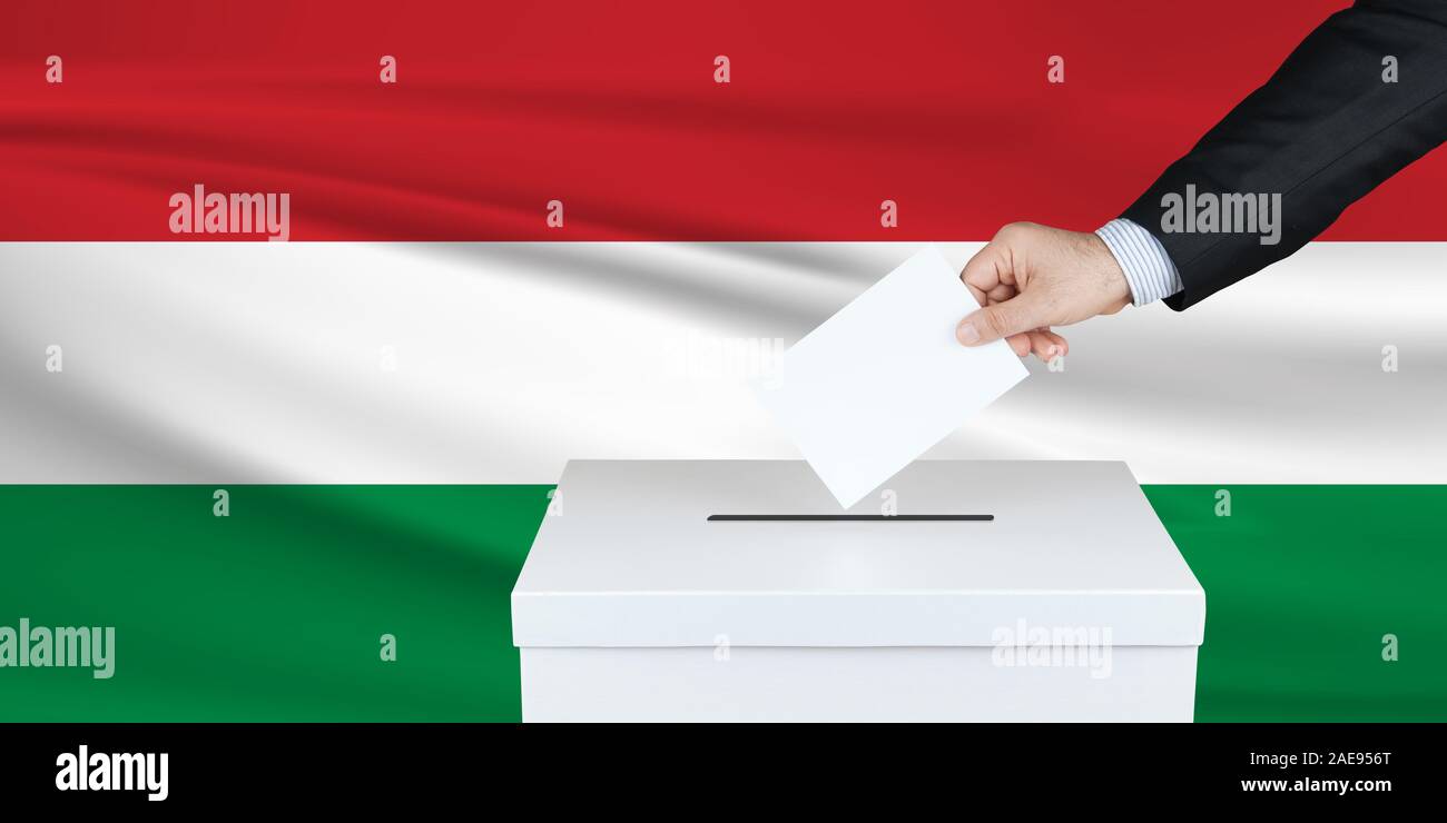 Election in Hungary. The hand of man putting his vote in the ballot box. Waved Hungary flag on background. Stock Photo