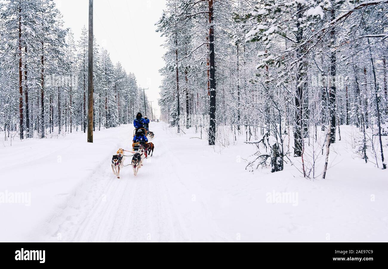 People in Husky dog sled in Finland in Lapland winter reflex Stock ...
