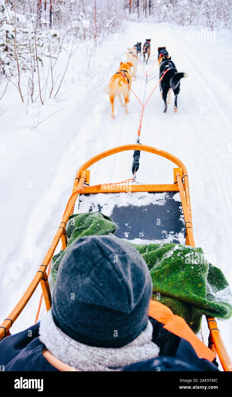 Man riding Husky dog sled in Finland in Lapland winter reflex Stock ...