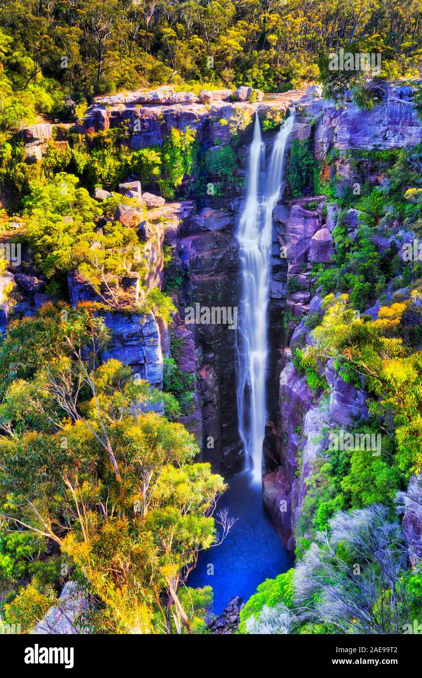 Tall waterfrall on Kangaroo river - Carrington fall in Morton national park of australia. Water stream flows down from sandstone plateau between everg Stock Photo