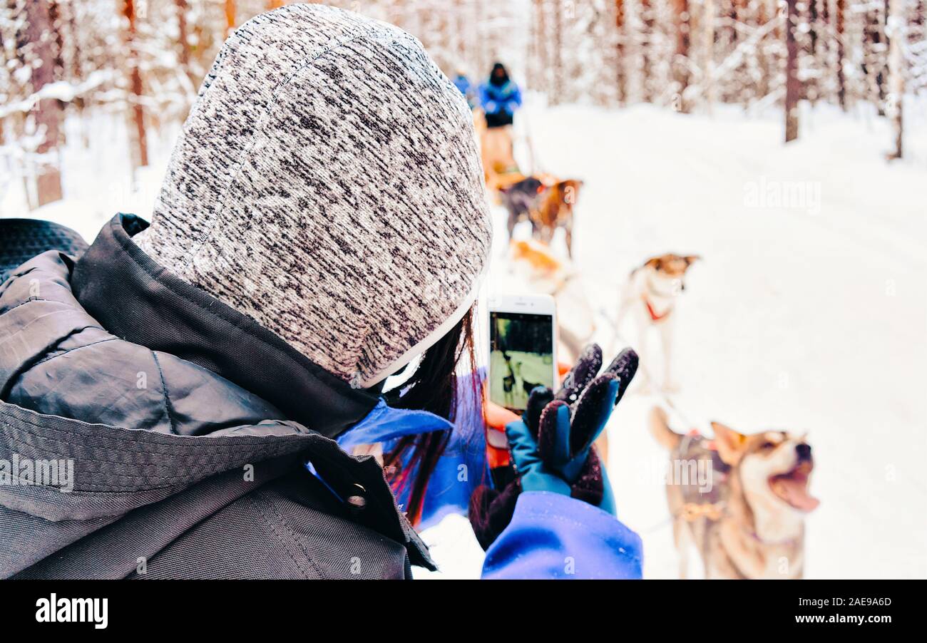 Woman taking photo of Husky dog sled in Finland reflex Stock Photo - Alamy