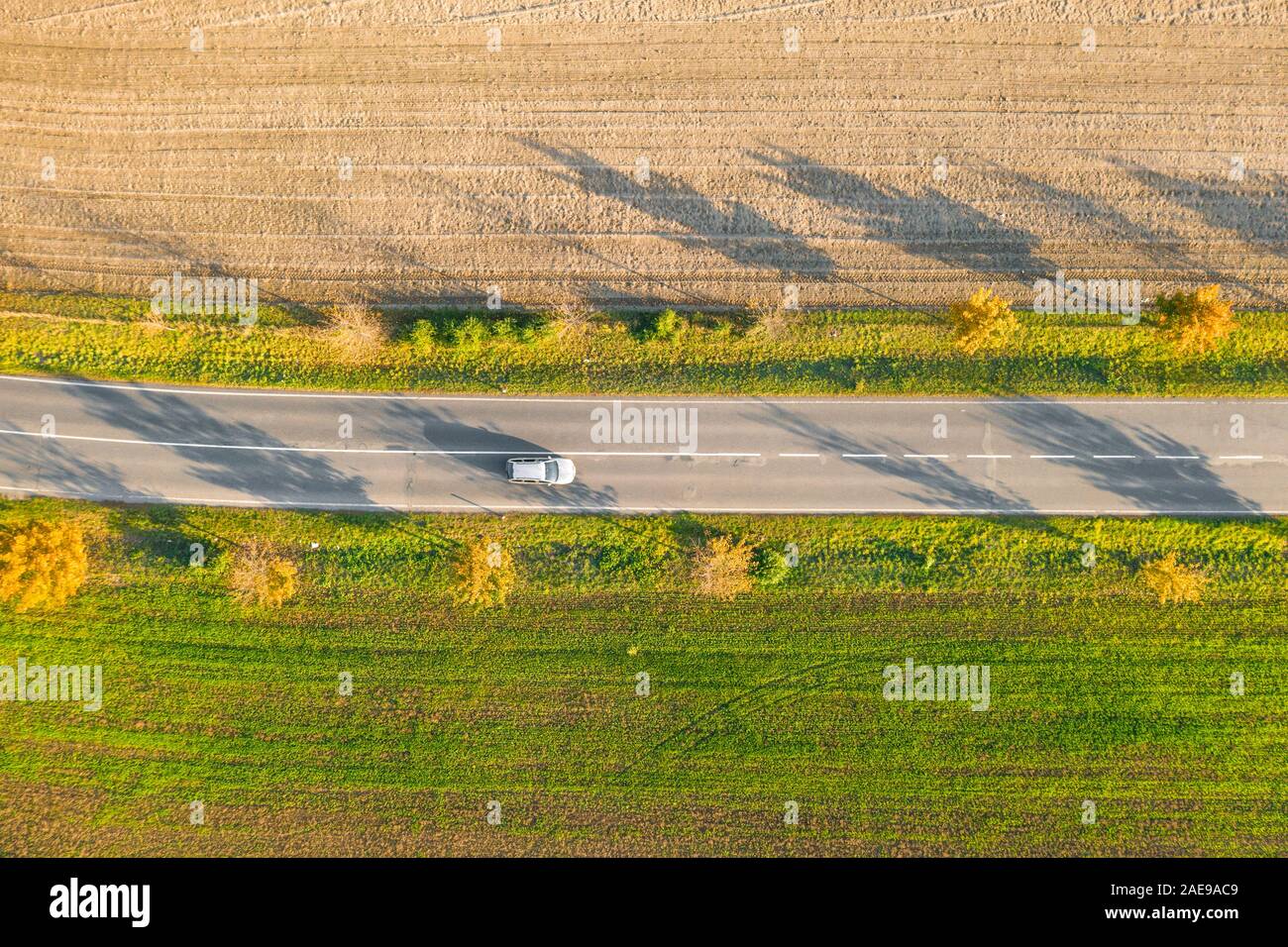 Road between green field and cultivated ground with yellow trees at ...