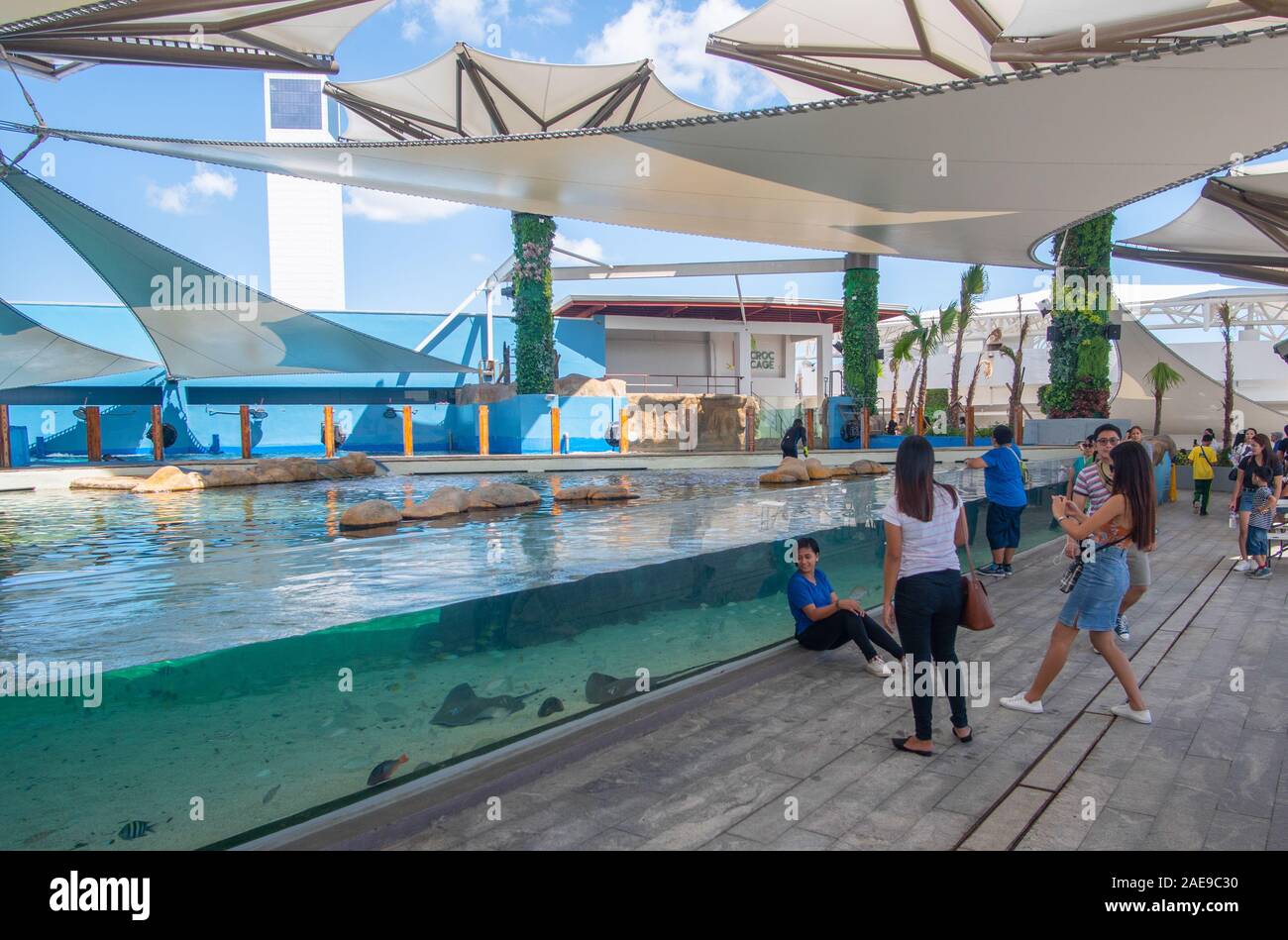 A girl sitting against a large open air aquarium whilst a friend takes a photo of her with a mobile phone. Ocean Park,Cebu City,Philippines Stock Photo