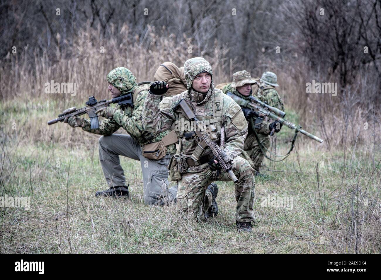 Military army soldiers tactical teamwork in forest Stock Photo - Alamy