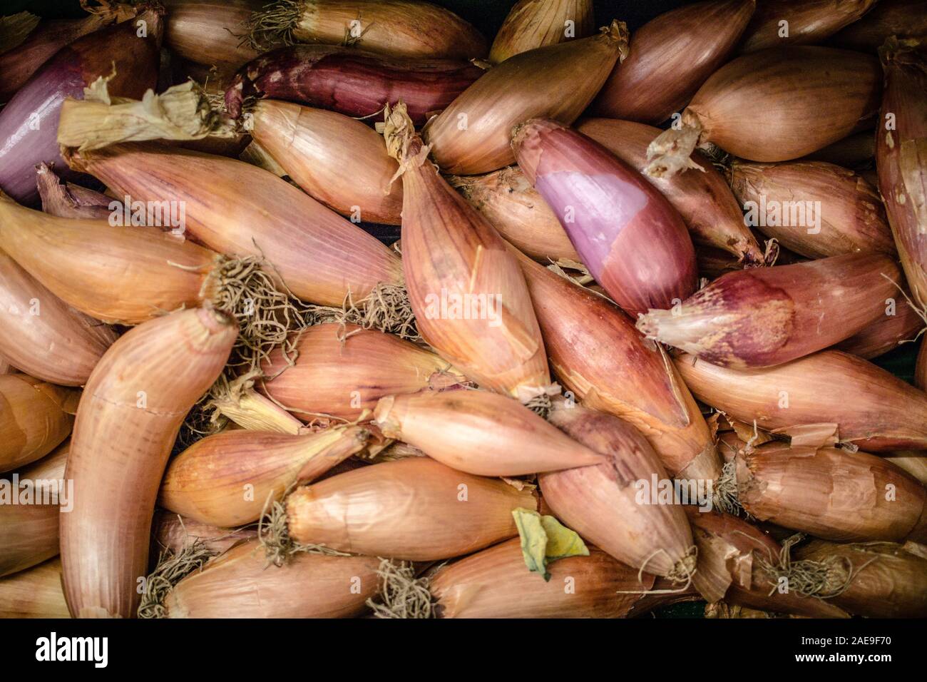 2,843 Banana Shallot Royalty-Free Images, Stock Photos & Pictures